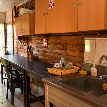 Homestay Casa Poseidon Costinesti
